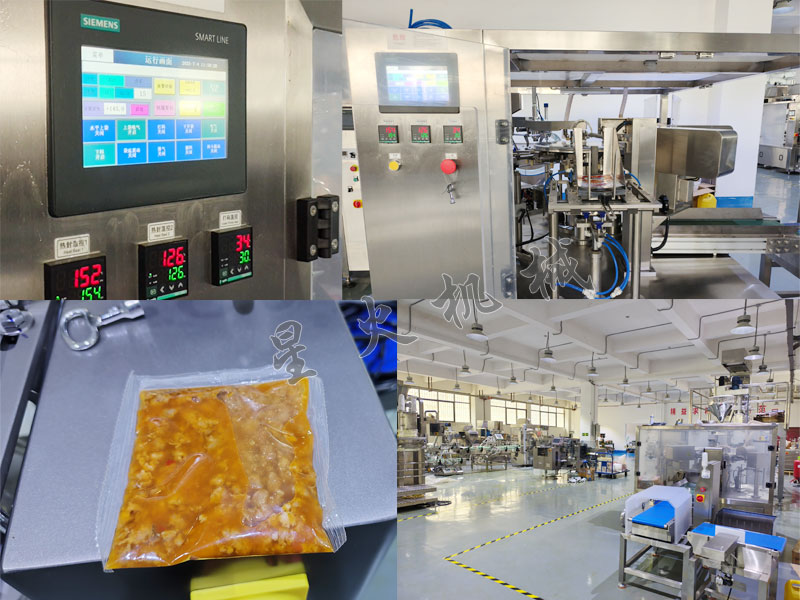 成都給袋式肉片包裝機細節圖